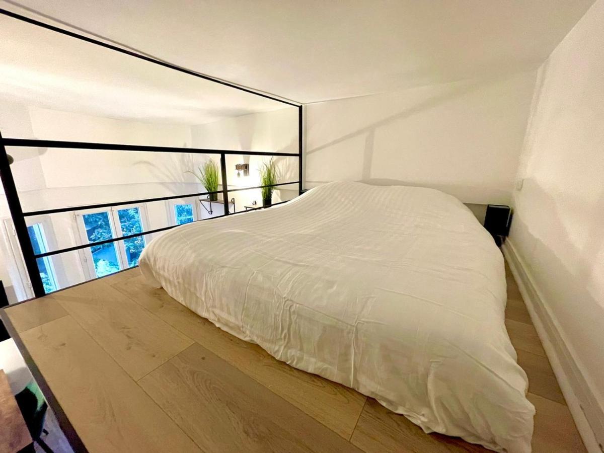 Cocooning & Modern Duplex Center Carabacel Nice