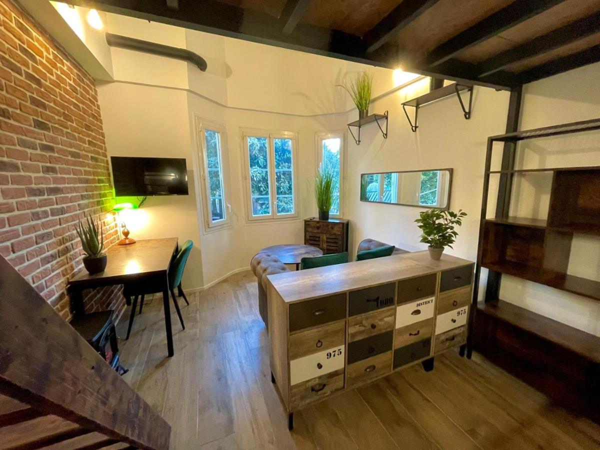 Cocooning & Modern Duplex Center Carabacel Apartment